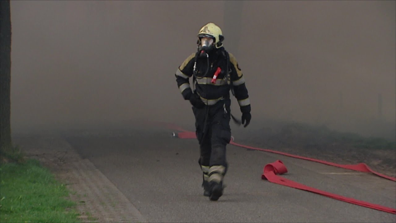Veel stalbranden in Brabant in eerste helft van 2016: extreem veel dieren omgekomen ten opzichte ...
