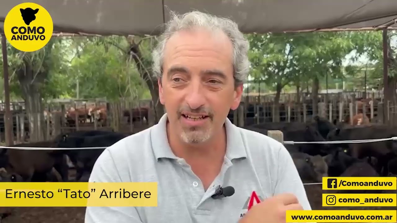 Ernesto “Tato” Arribere. Arribere Ugarte y Cía. Rauch 5/2/26.