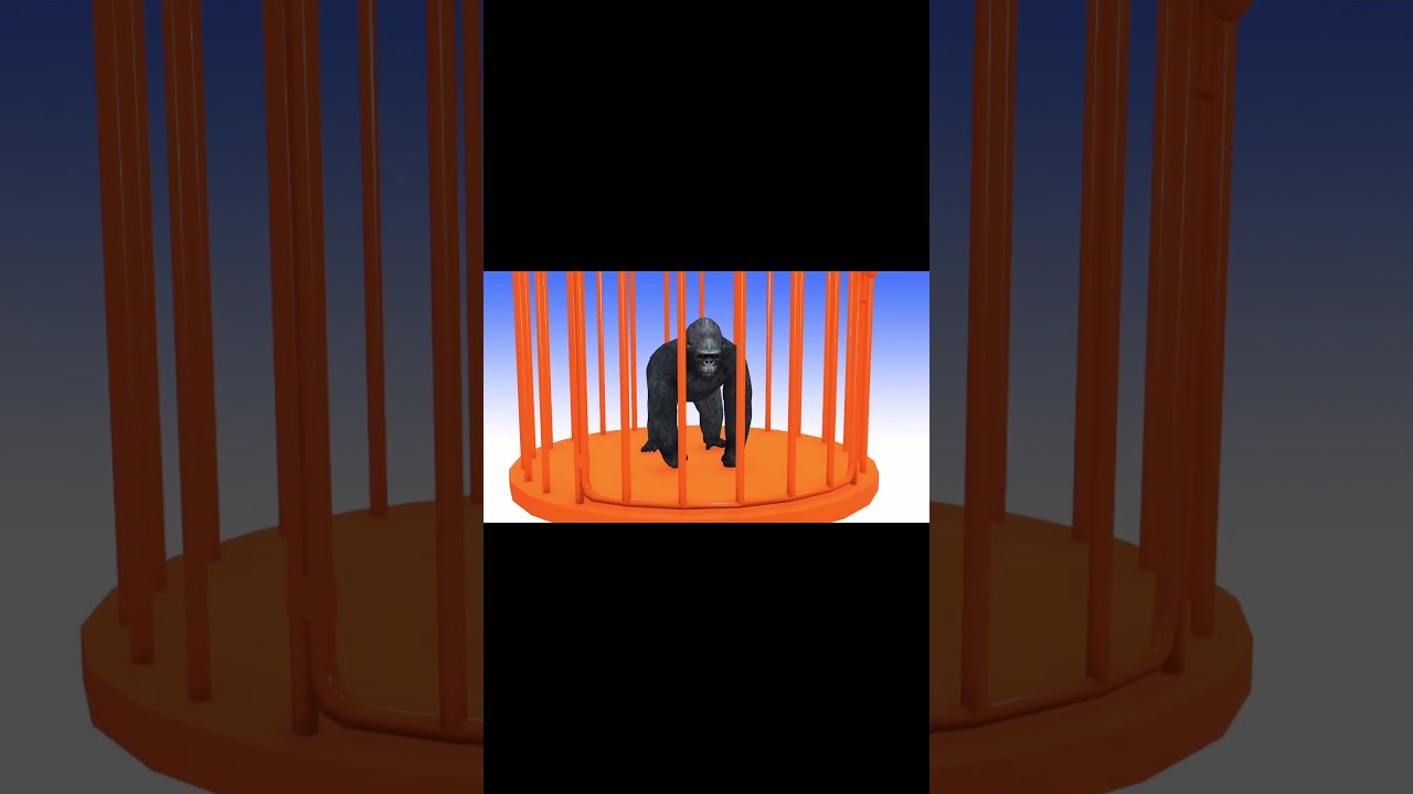 Long Slide Game with Cow Elephant Gorilla Hippopotamus Tiger 3d Animal Game Funny 3d Animals