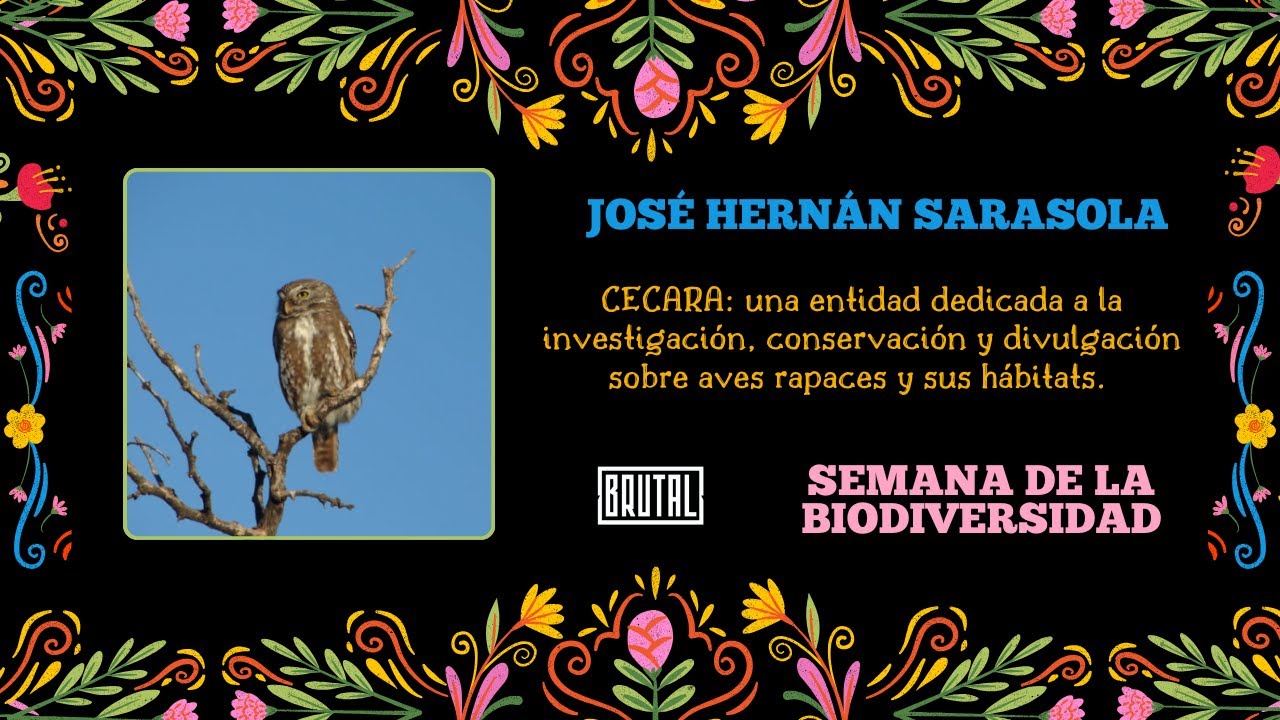 CECARA: conservaci&oacute;n, investigaci&oacute;n y educaci&oacute;n ambiental para ayudar a las rapaces argentinas.