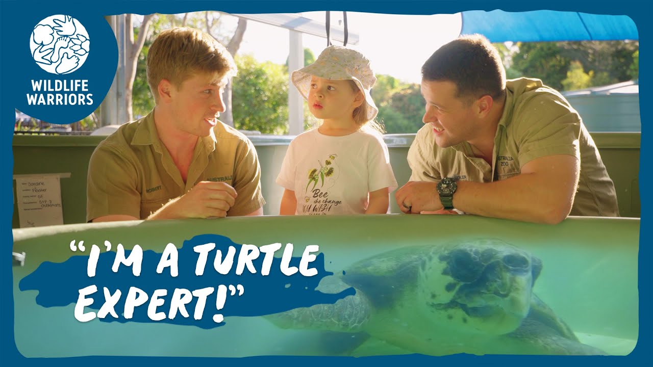 Grace Tests Her Turtle Feeding Skills | Wildlife Warriors Missions