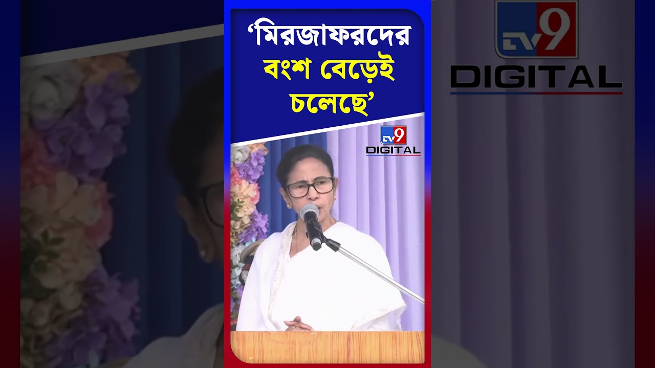 মিরজাফরদের বংশ বেড়েই চলেছে: মমতা | #Shorts | #TV9D