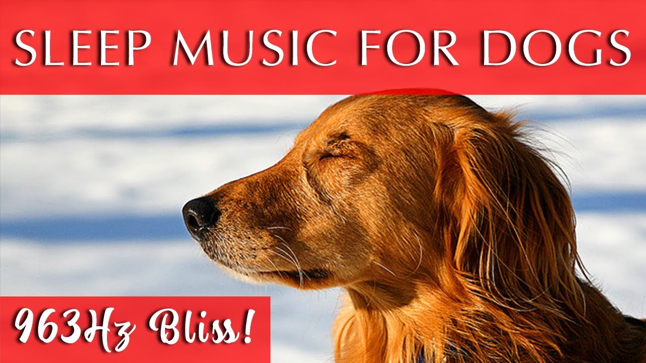 Calming Sleep Music for Dogs | 963Hz Ambient Healing