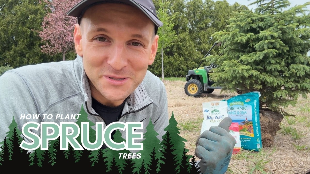 Planting Spruce Trees! 🌲 || Wyse Guide