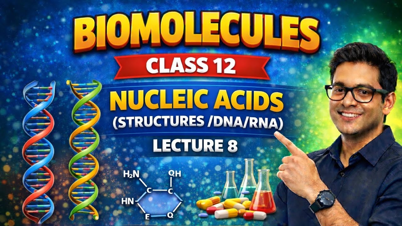 Biomolecules class 12 NUCLEIC ACIDS (STRUCTURES /DNA/RNA) lecture 8