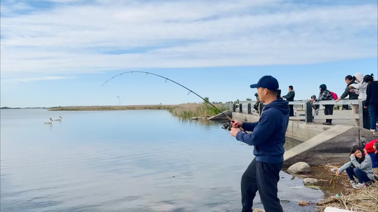 Mus Nuv Ntses Nyob North Dakota Devils Lake 6-7-2024