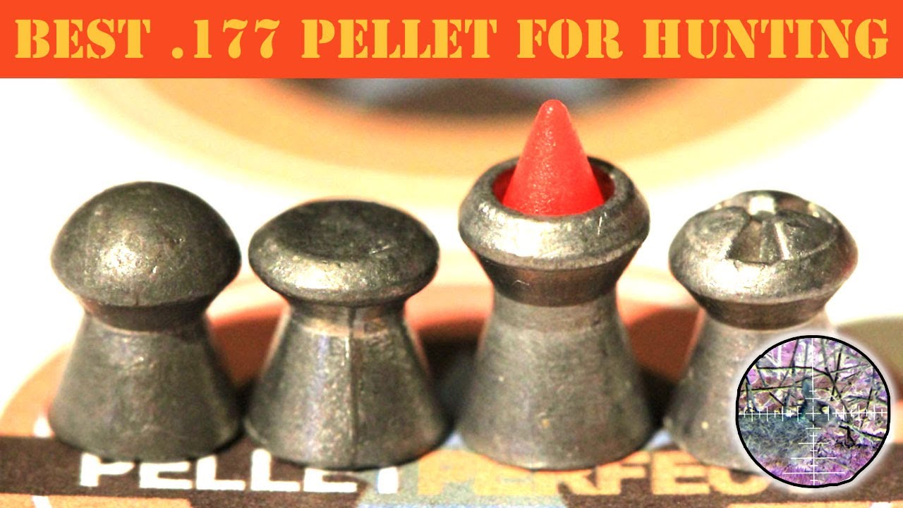 BEST NEW 177 HUNTING PELLET in 2022  //  AIRGUN ACADEMY TEST RESULT 2021 TO 2022