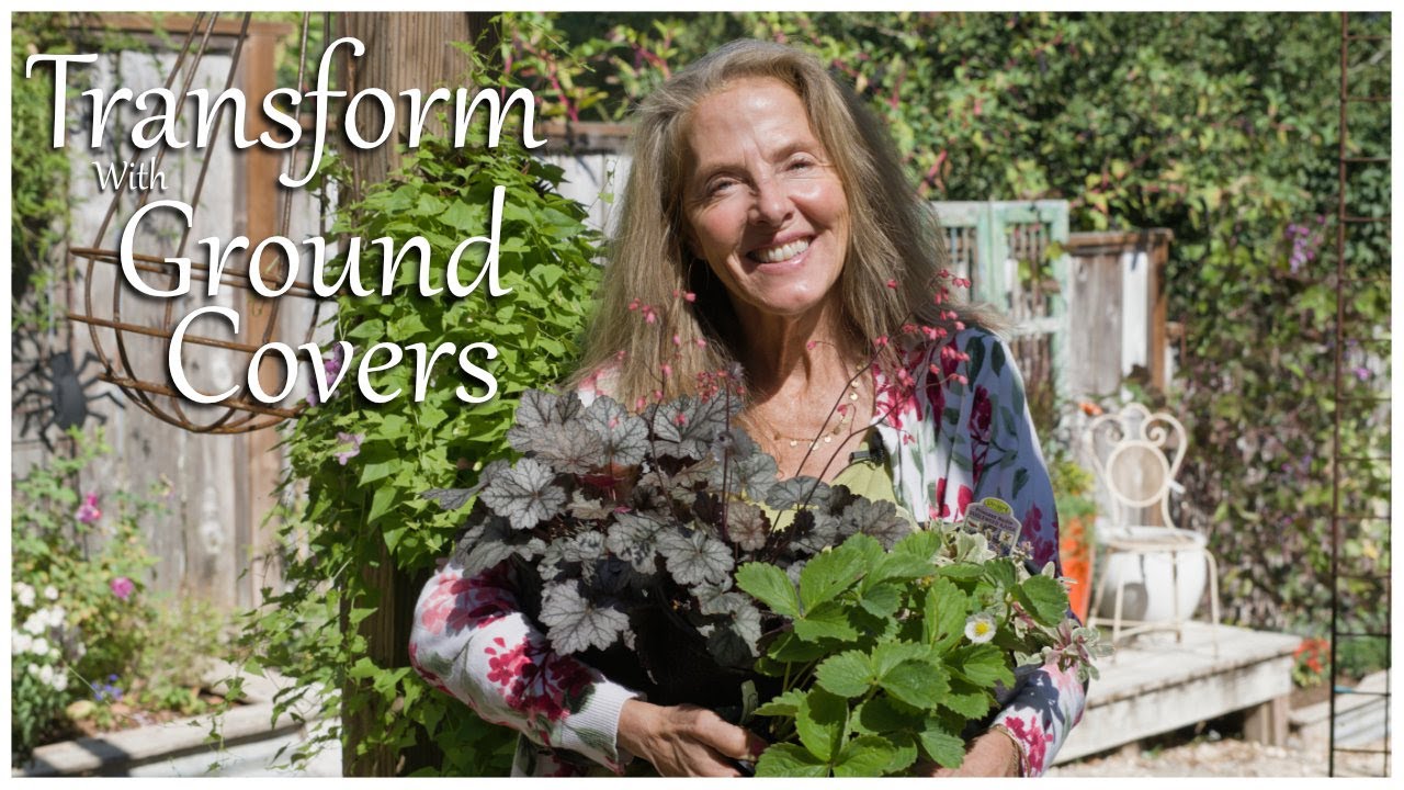 🌿Transform your Garden with Game Changing Ground Covers! 🌿#groundcovers #gardentips