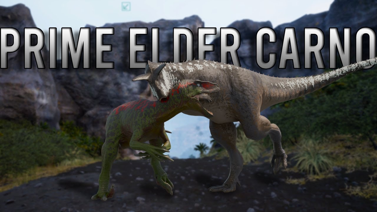 Prime Elder Carnotaurus Gameplay | Apex Speed Predator in The Isle Evrima #theisleevrima #theisle