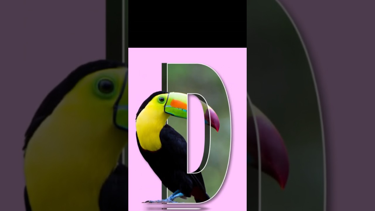 3D Letter Poster Design in Canva (Easy Tutorial!) 