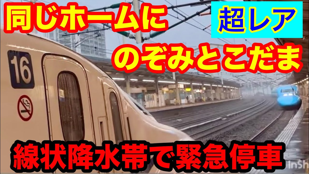 ㊗️2万回再生🎉レア映像満載【列車ホテル＆深夜各停のぞみ】ワンピース新幹線がホテルに🚅2025.8.10に乗車したmakobeは線状降水帯の大雨に遭遇、新幹線が途中運休😰車内に残ったmakobeは❓😱