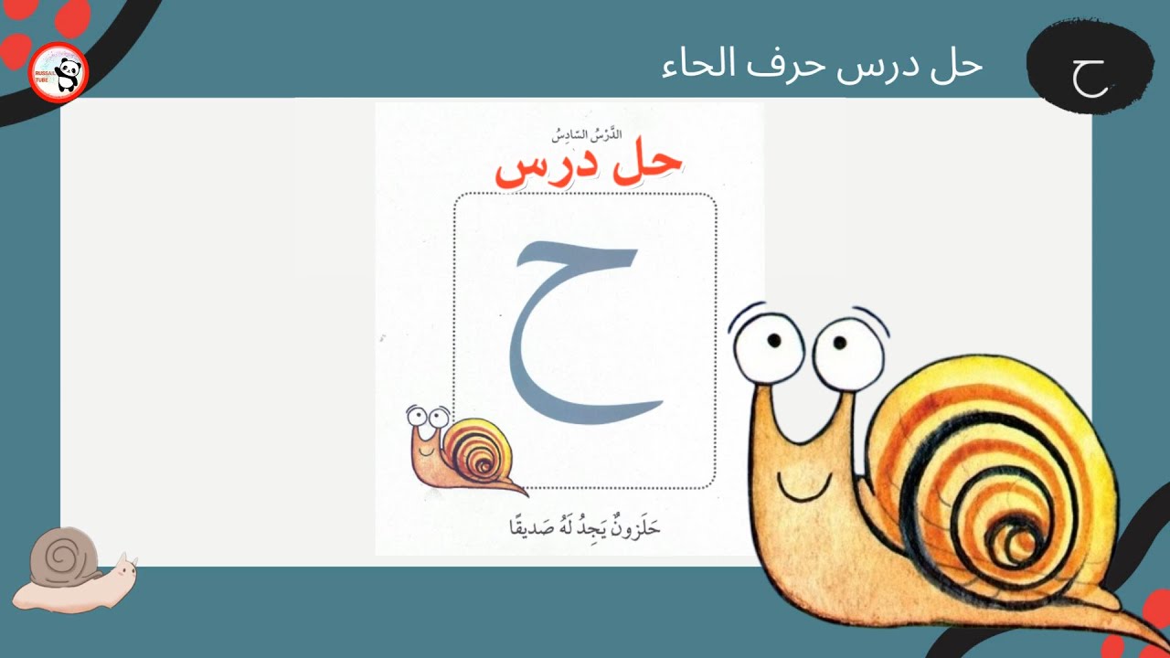 حل درس حلزون يجد له صديقاً  l تدرب على قراءة حلزون يجد له صديقاً l أجوبة درس حلزون l حروف المد