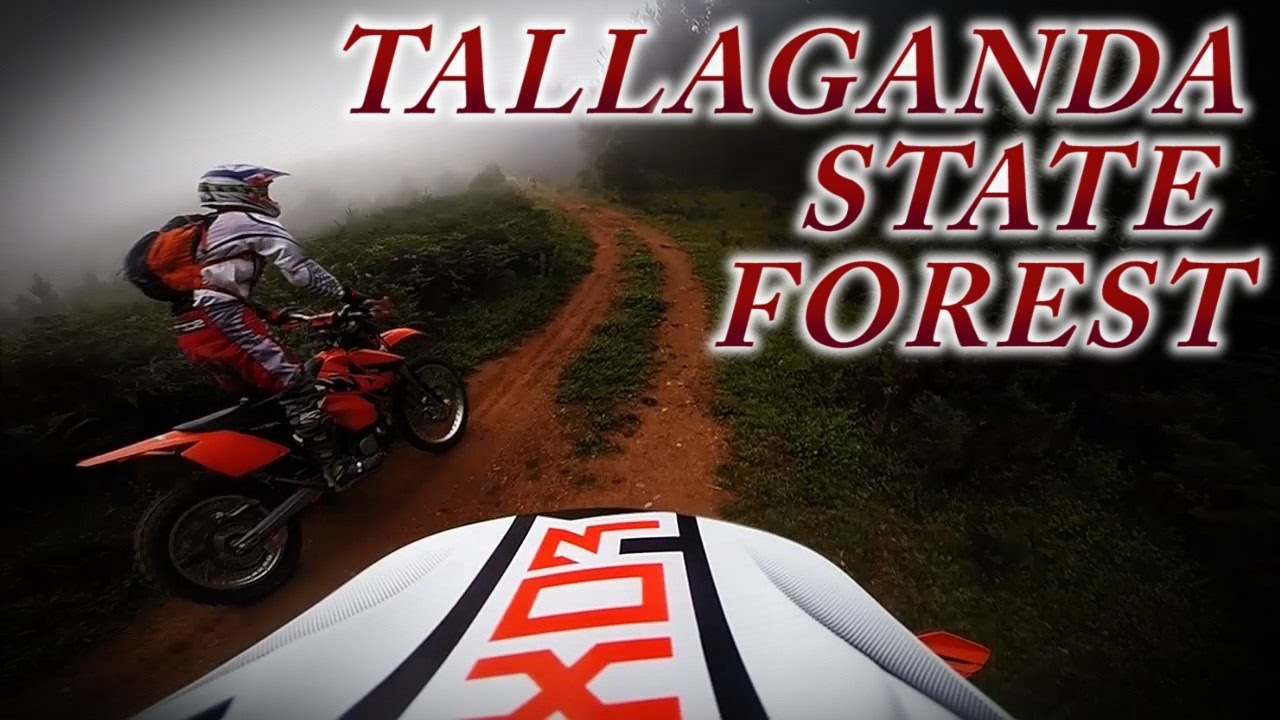 Tallaganda State Forest - Motorbike Mashup