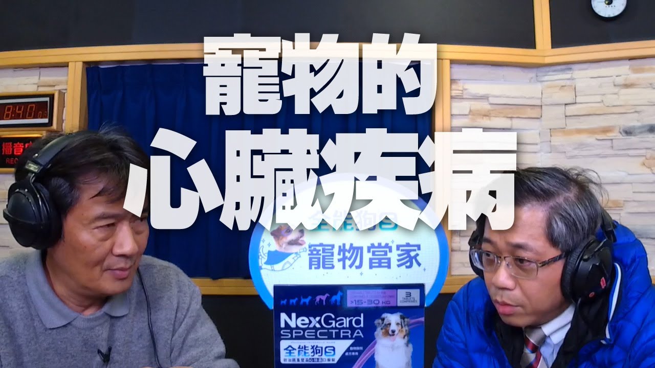'20.03.16【全能狗S 寵物當家】專心動物醫院洪榮偉院長談「寵物的心臟疾病」