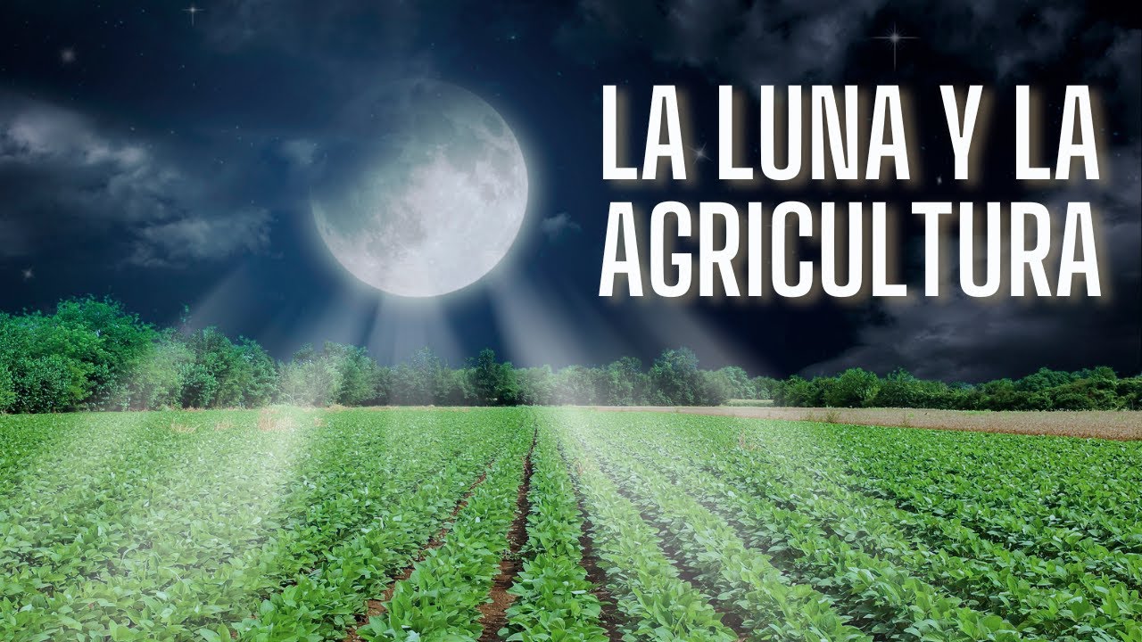 La LUNA y la AGRICULTURA | Video para primaria