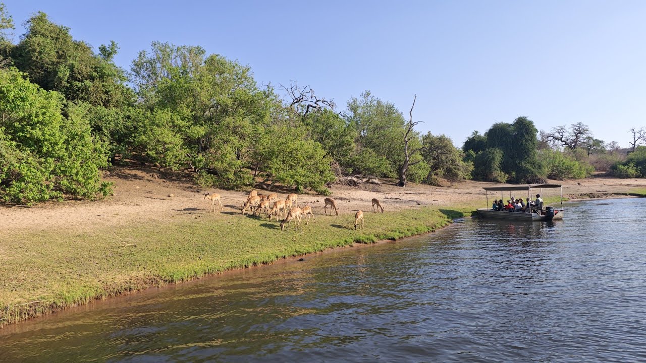 (2)BOSTWANA : Bateau sur Chobe river |EnvieDeVoy@ges