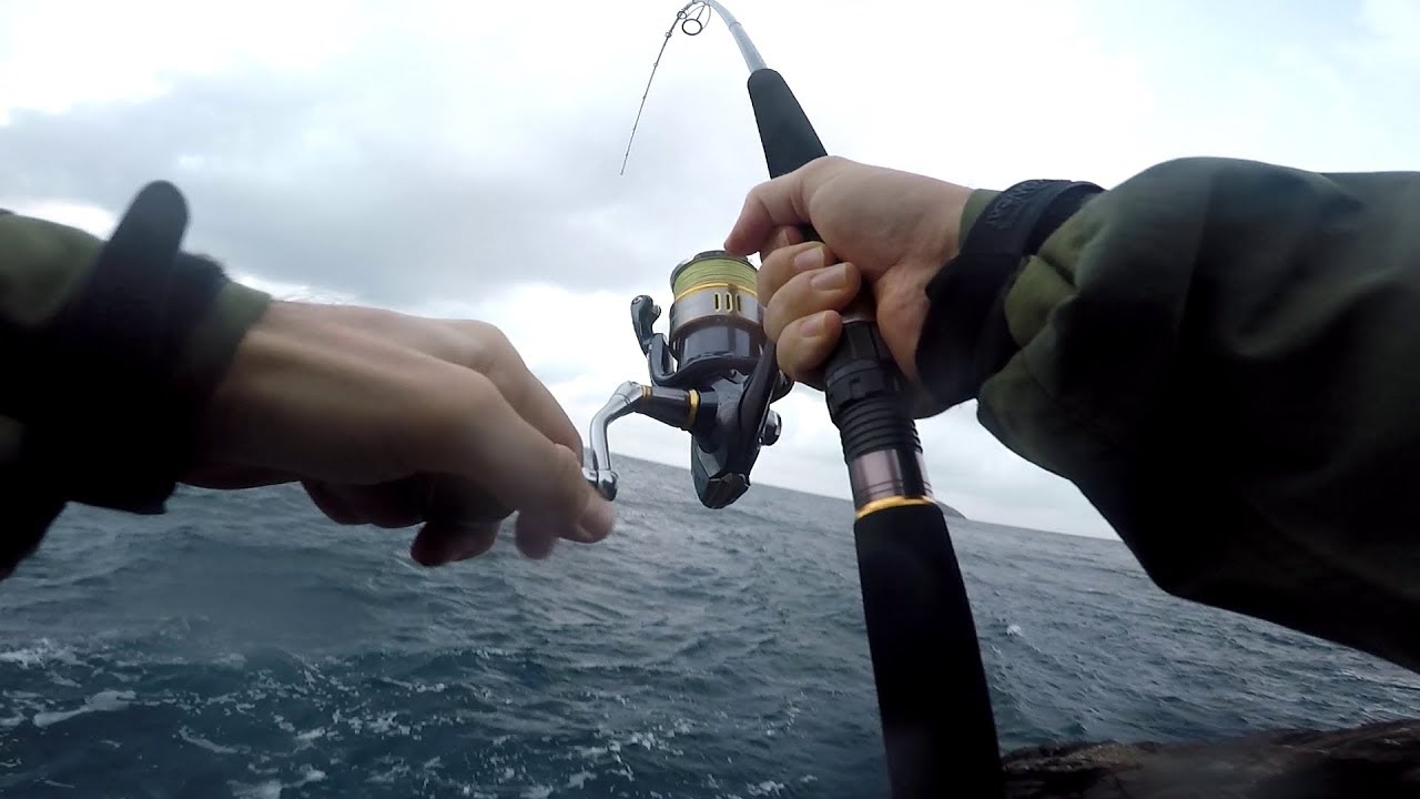 Shore Jigging in Italy -  Catch & Release