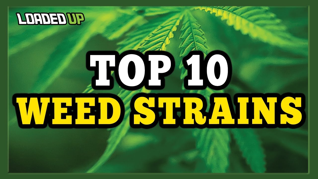 Top 10 Best Weed Strains