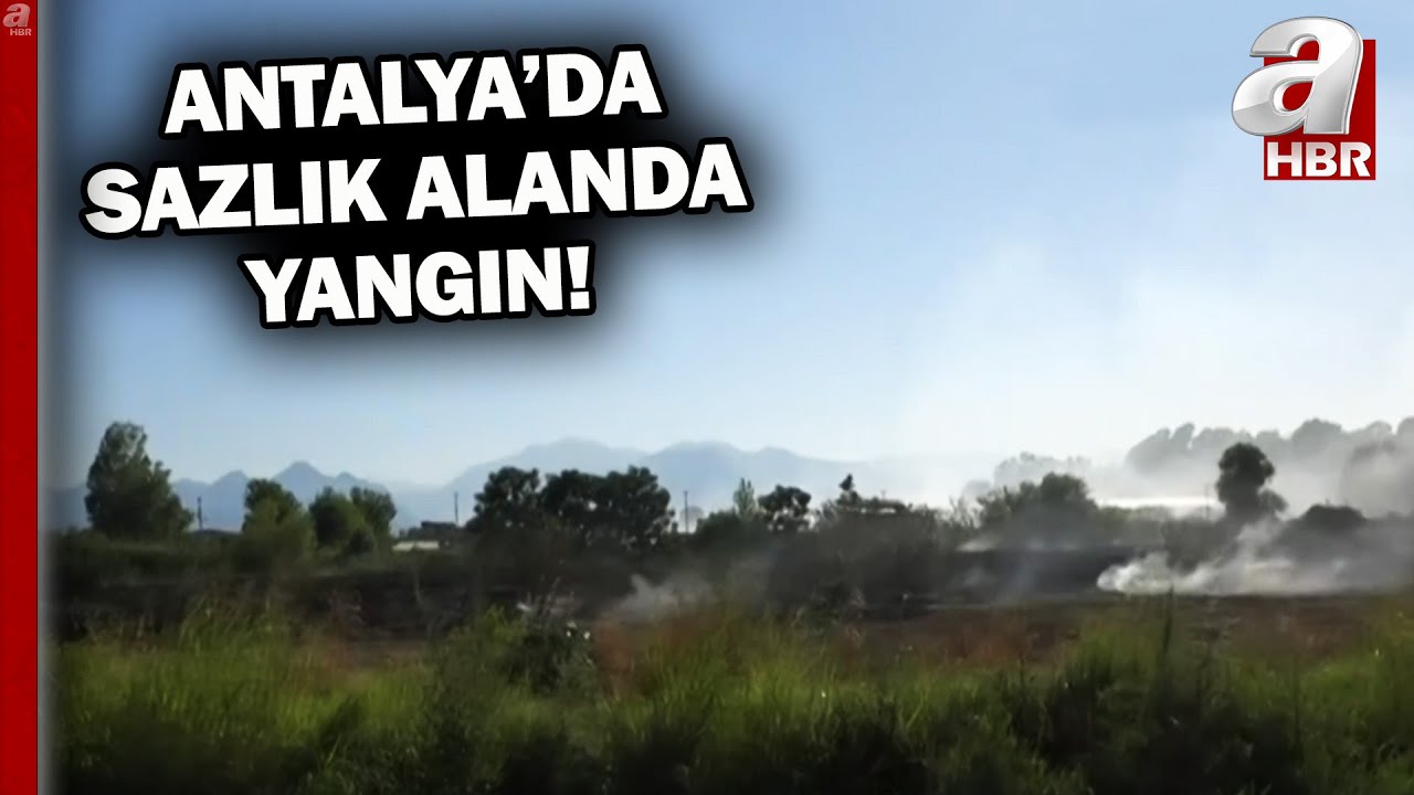 Antalya Muratpaşa'da sazlık alanda yangın! | A Haber