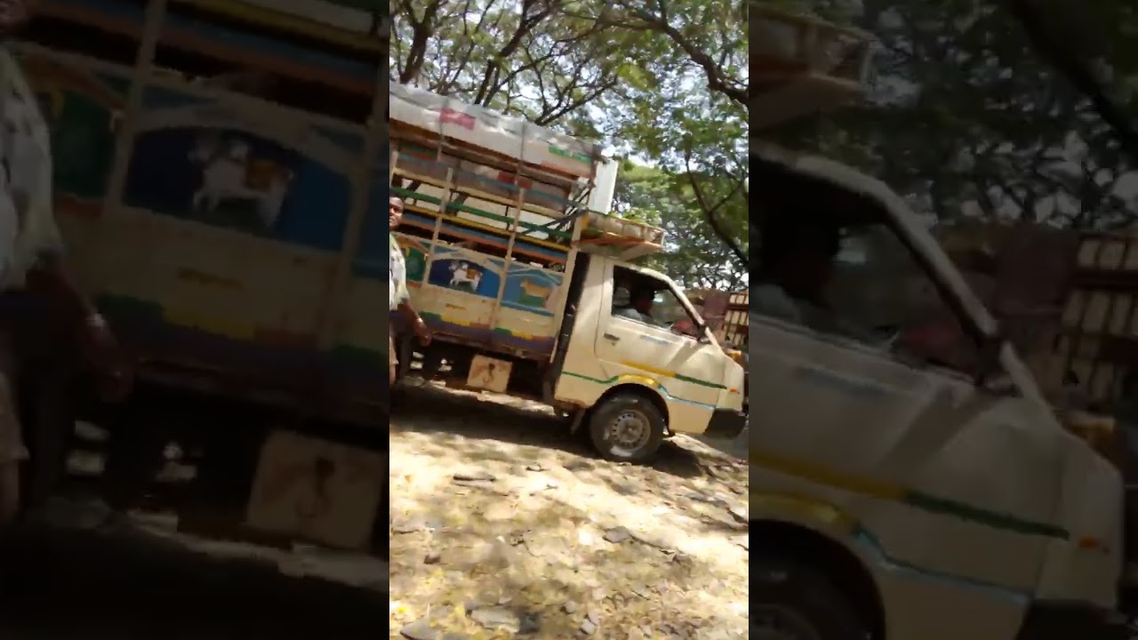 kuri sante famous # pavagada