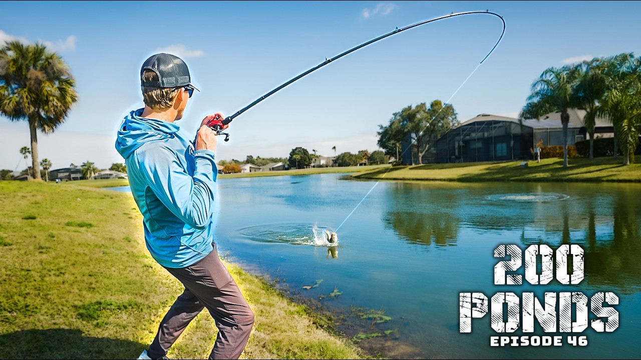 Окунь-пруд уничтожил этого мягкого пластикового червя! (200 прудов, эпизод 46)