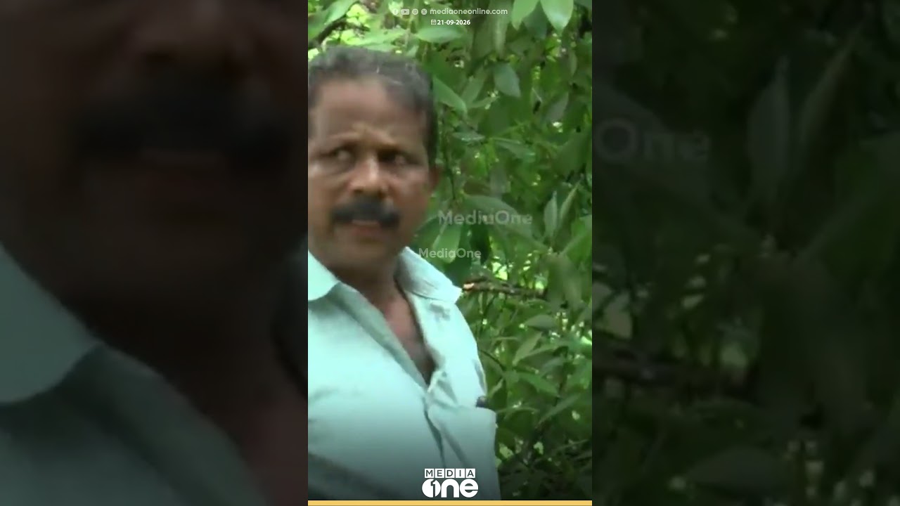 '3 പേർ മരത്തിന് മുകളിലായിരുന്നു...ഒരാൾ കഷ്ടിച്ചാണ് രക്ഷപെട്ടത്'