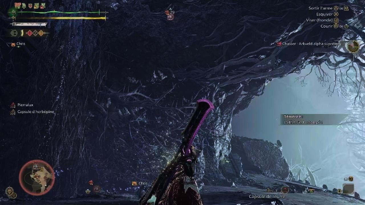Noob insectoglaive vs Arch Tempered first victory solo.
