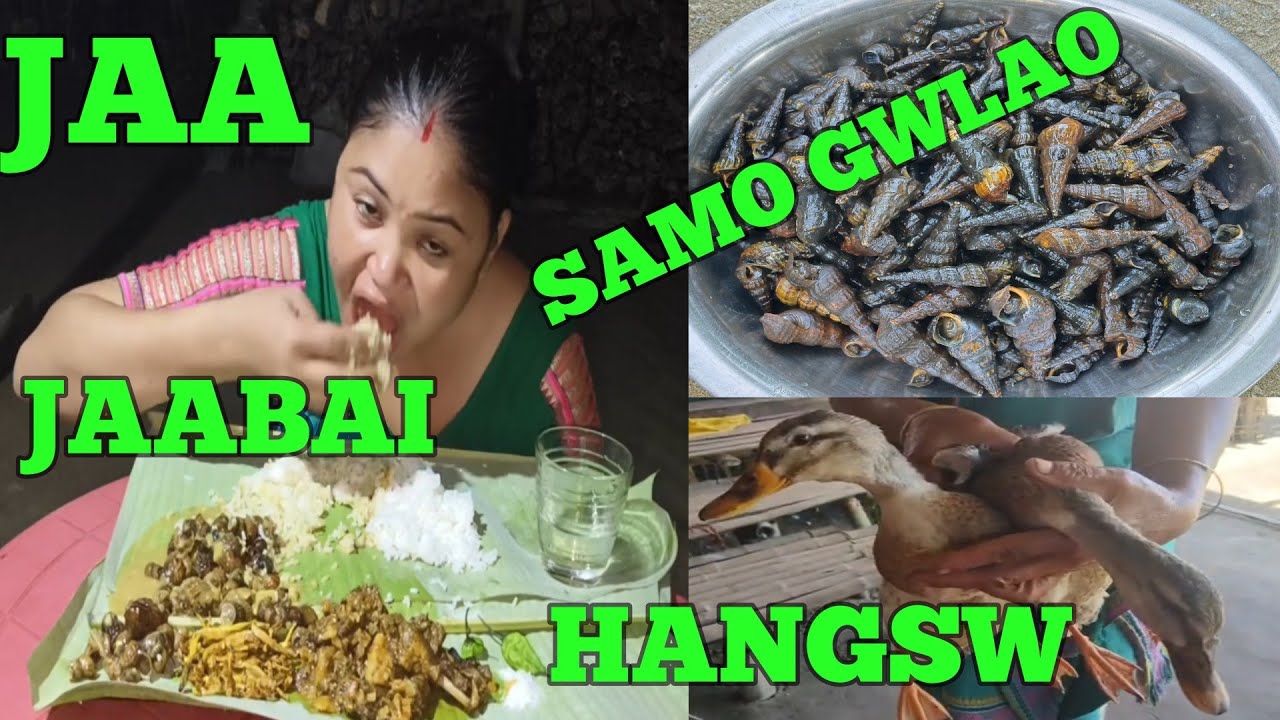 BROTIA SNAIL WITH TARO ROOT || DUCK CURRY COOKING AND EATING || BODO || SAMO JWNG THARUN & HANGSW ||
