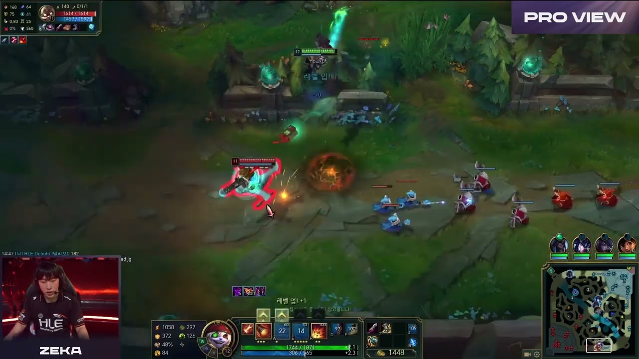 Zeka Pro View | NS vs HLE | LCK 2024 Spring