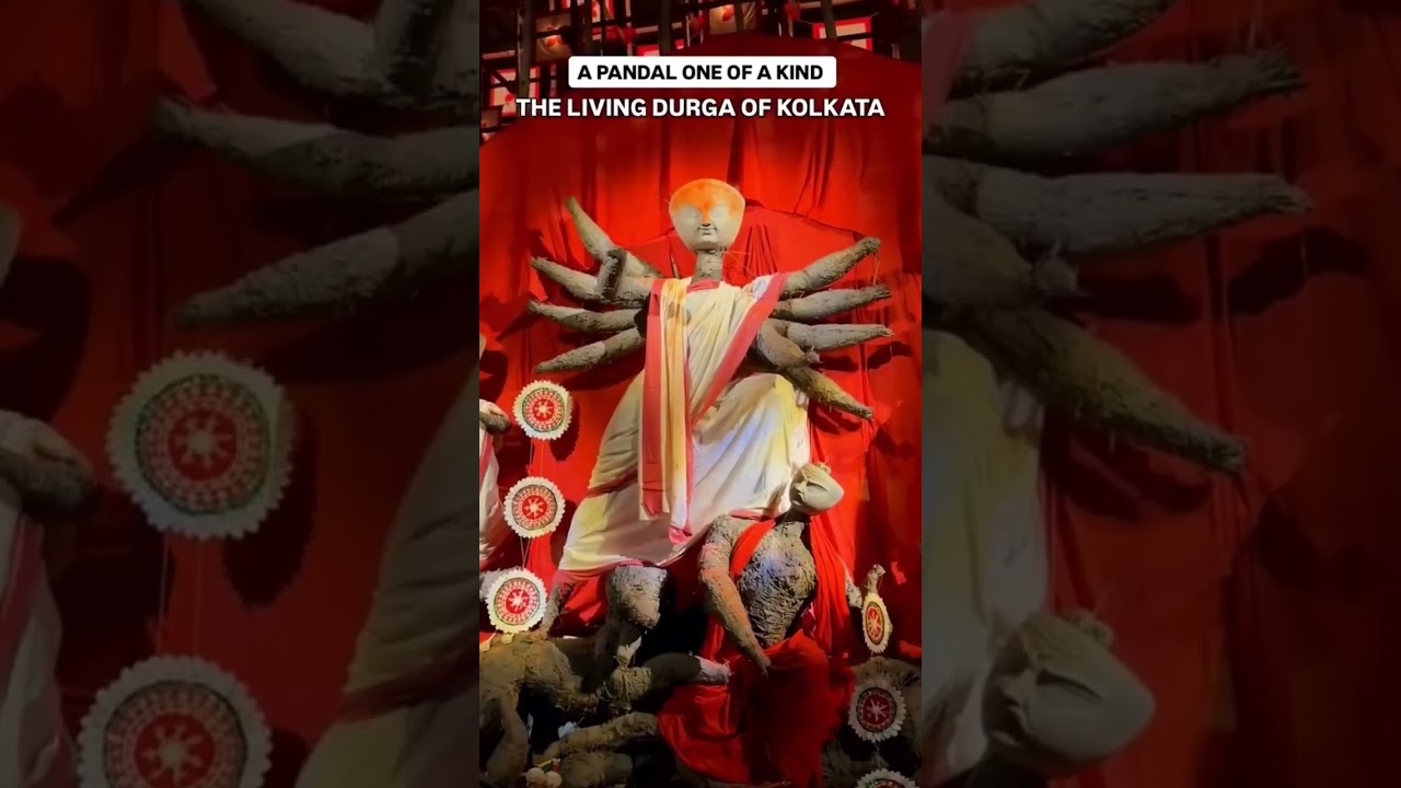 most creative Ma Dunga alive in Kolkata #draupadi #shorts #durga #durgapuja #durgamaa #viral