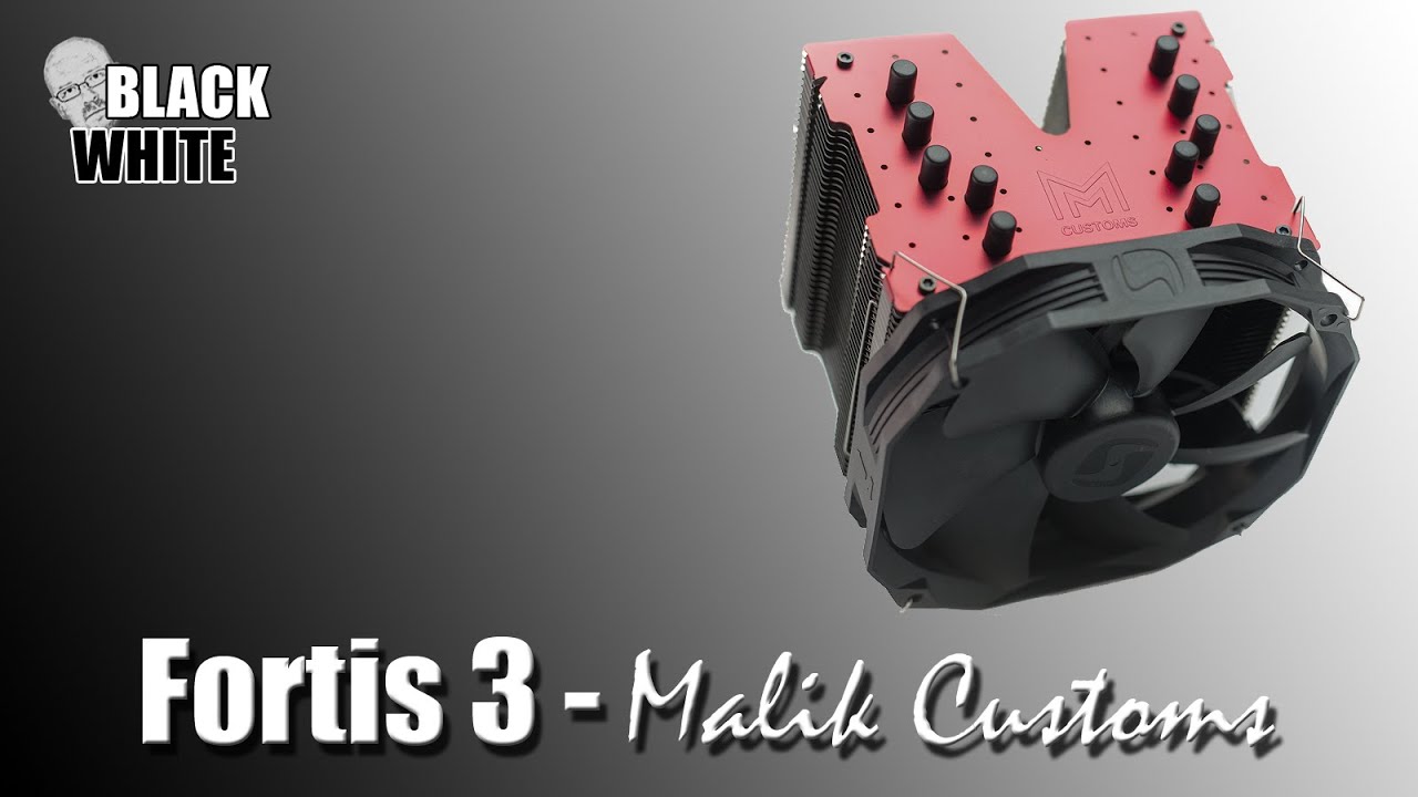SilentiumPc Fortis 3 - Malik Customs Edition