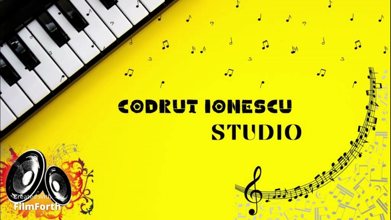 Negativ hora Constantin Fulgerica(do minor)