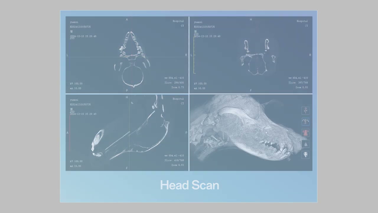 🎬 Vetoo Multi-Function CT | Animation Mode in Action #VetooMedical #VeterinaryCT #VetTech #PetHealth