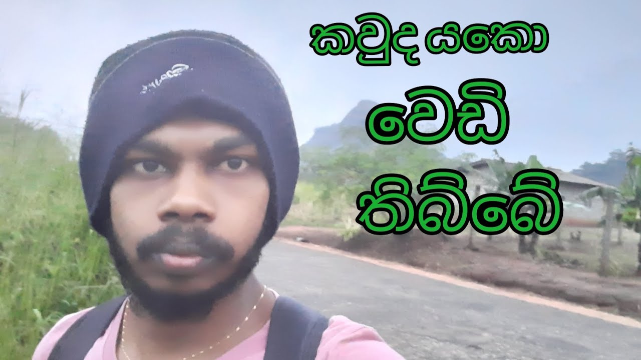 මැරෙන්ඩ ගිය එකාට ගොනා ඇනලා