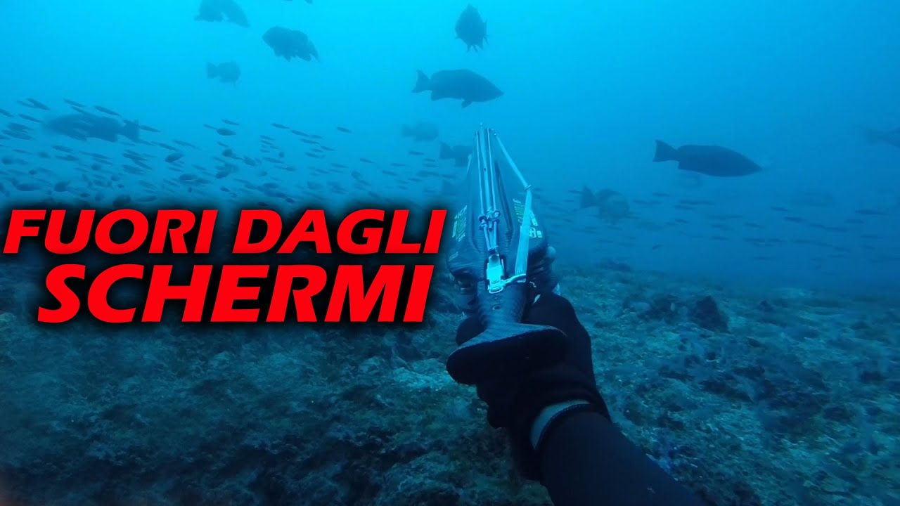 Fuori dagli schermi PESCA IN APNEA [ Michele Giurgola ] @Francesco Sena