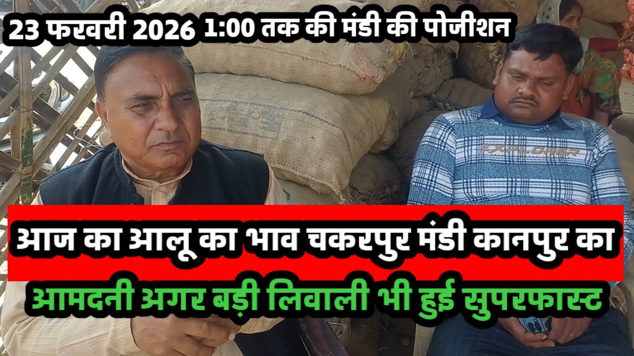 आज का आलू का भाव चकरपुर मंडी कानपुर का 23 फरवरी 2026 1:00 बजे तक की मंडी की पोजीशन 
