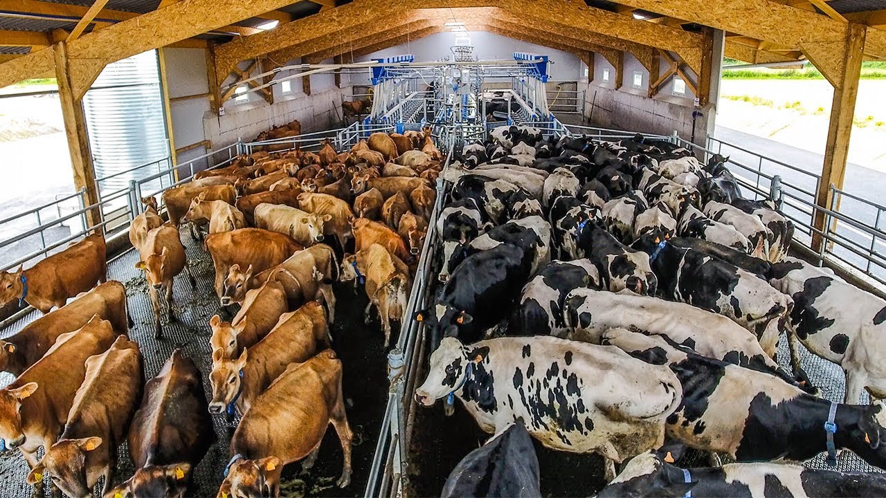 ferme UNIQUE en France !