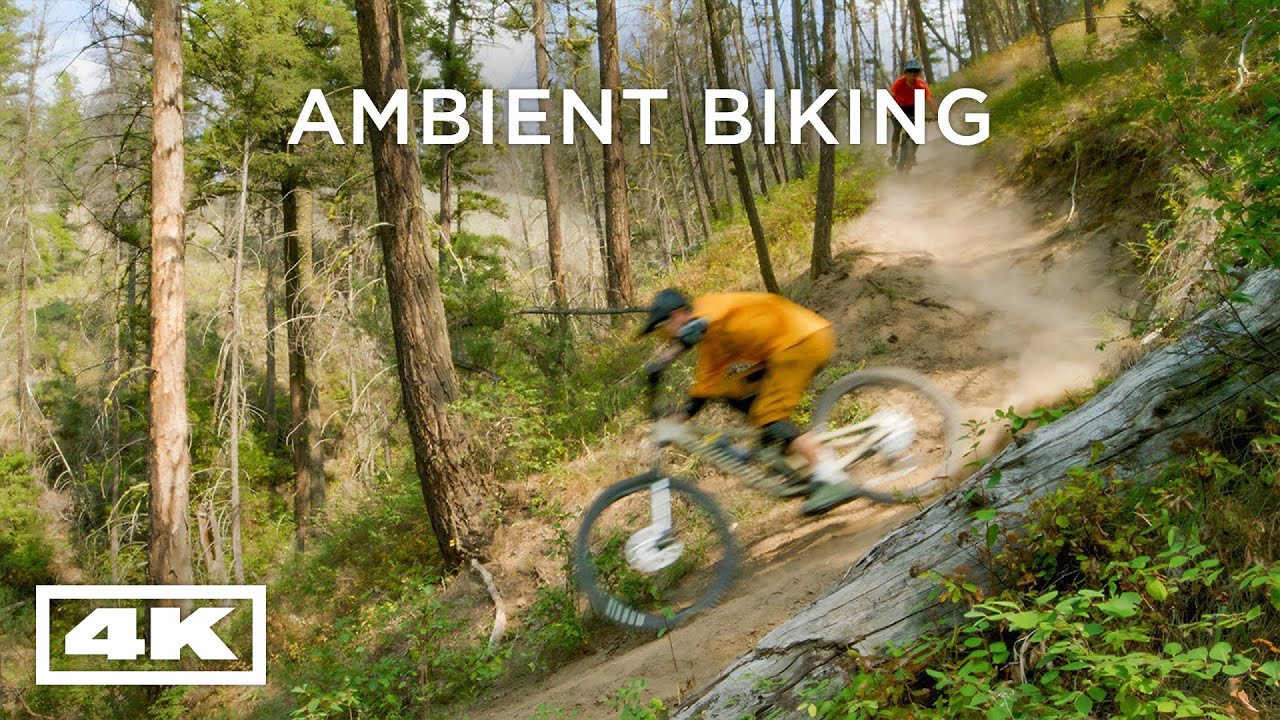 Mountain Biking in Williams Lake | Relaxing Sounds of MTB