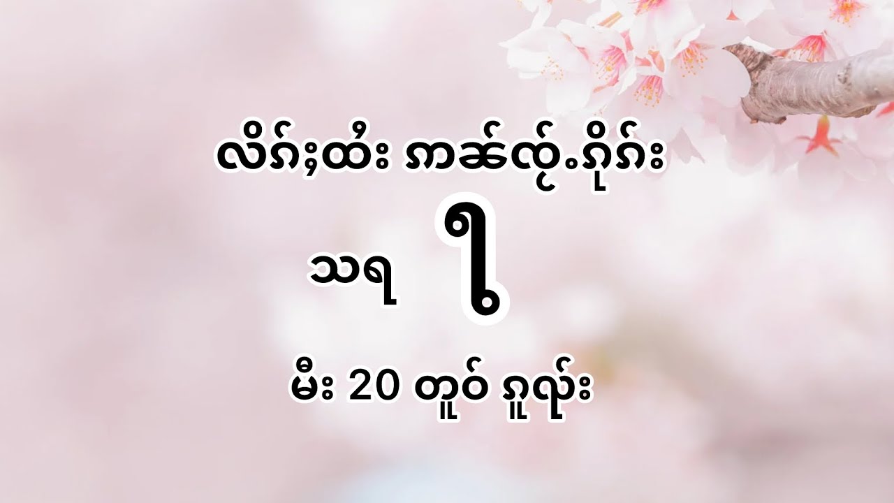 တူဝ်ဢၼ်ၸႂ်ႉၵိုၵ်း သရဢၢႆး မႆႉမူၼ်း #ပီႈၵွၼ်ၵွၼ်#လဵပ်ႈႁဵၼ်းၸွမ်းပီႈၵွၼ်ၵွၼ်#လိၵ်ႈထႆး#ใ#သရဢၢႆးမႆႉမူၼ်း