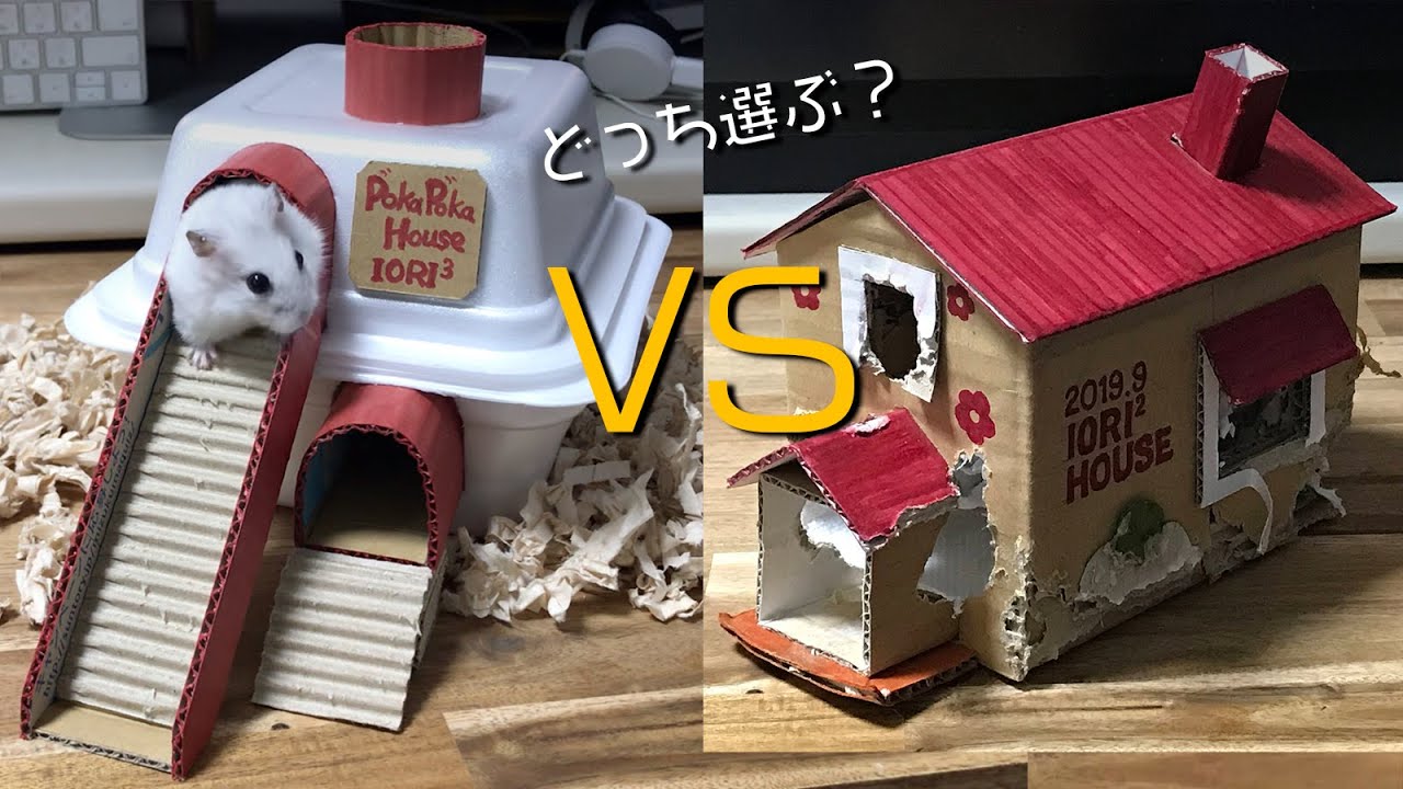 ハムスターの【手作りハウス】住み慣れたボロ屋vs真冬用暖たかハウス