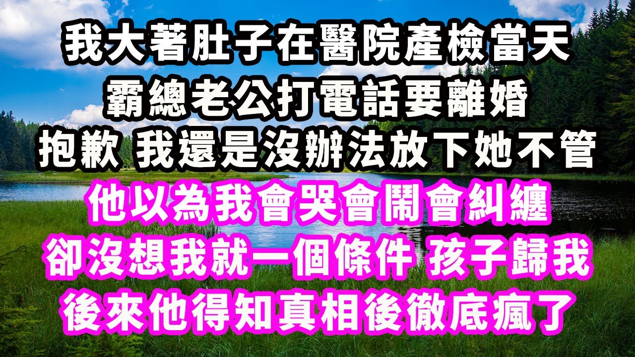 我大著肚子在醫院產檢當天，霸總老公打電話要離婚，抱歉我還是沒辦法放下她不管，他以為我會哭會鬧會糾纏，卻沒想我就一個條件孩子歸我，後來他得知真相後徹底瘋了#爽文完結#一口氣看完#小三#豪門#霸總