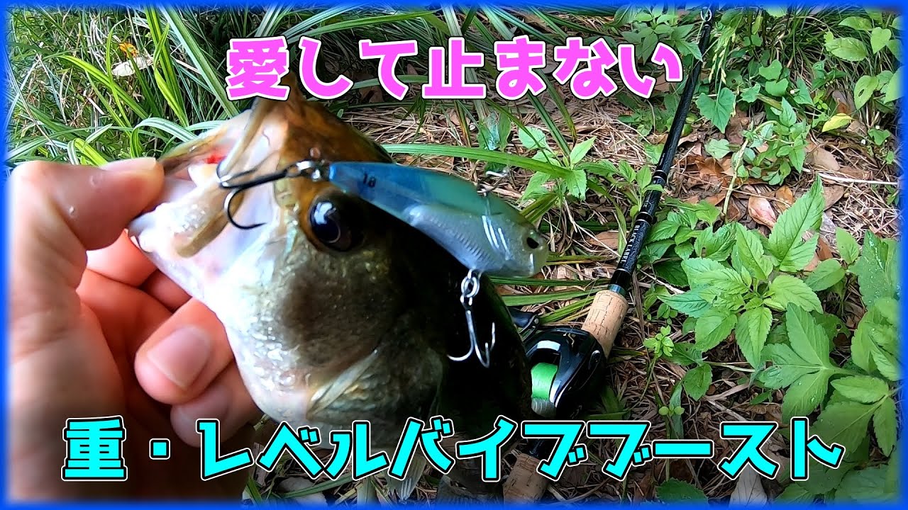 【レイドジャパン】沖の何もない所に投げて釣るこの季節が来たな【レベルバイブブースト】