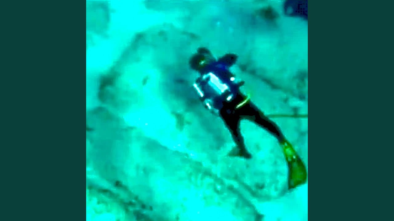 SHARK BAIT (feat. al.divino)