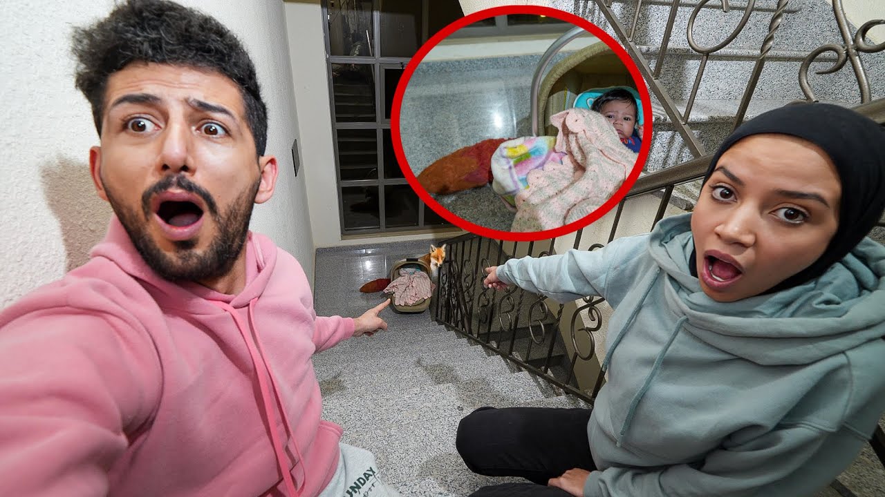 ثعلب منزل انثى السنجاب هاجم بنتنا ميمي تيوبر وصار شي ما تتوقعوه !! ثعلوب الشرير