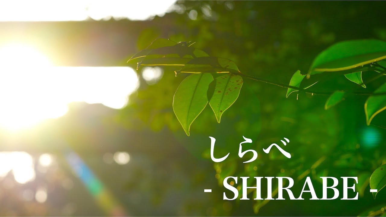 【伊勢神宮】しらべ ーSHIRABEー