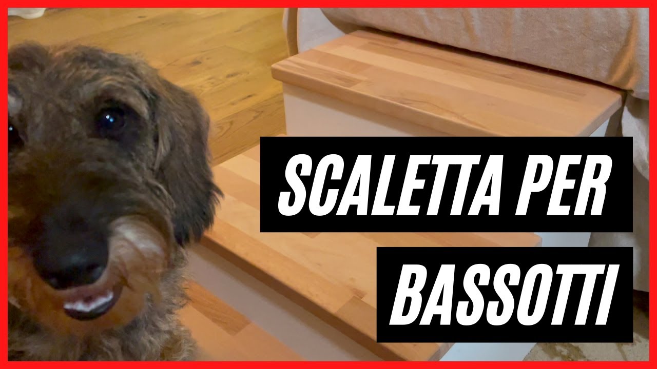 Fai da te - Scaletta per cani