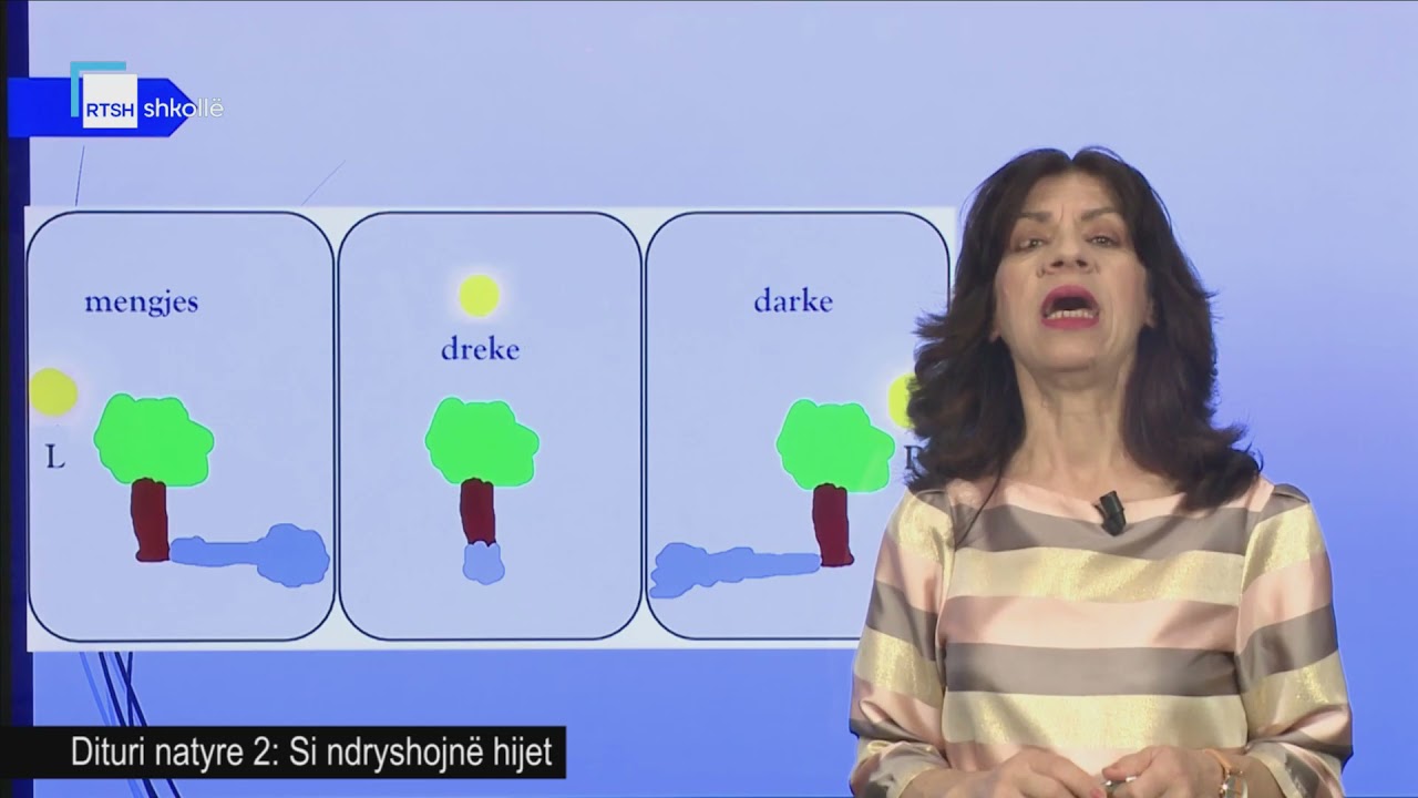 Dituri natyre 2 - Si ndryshojnë hijet