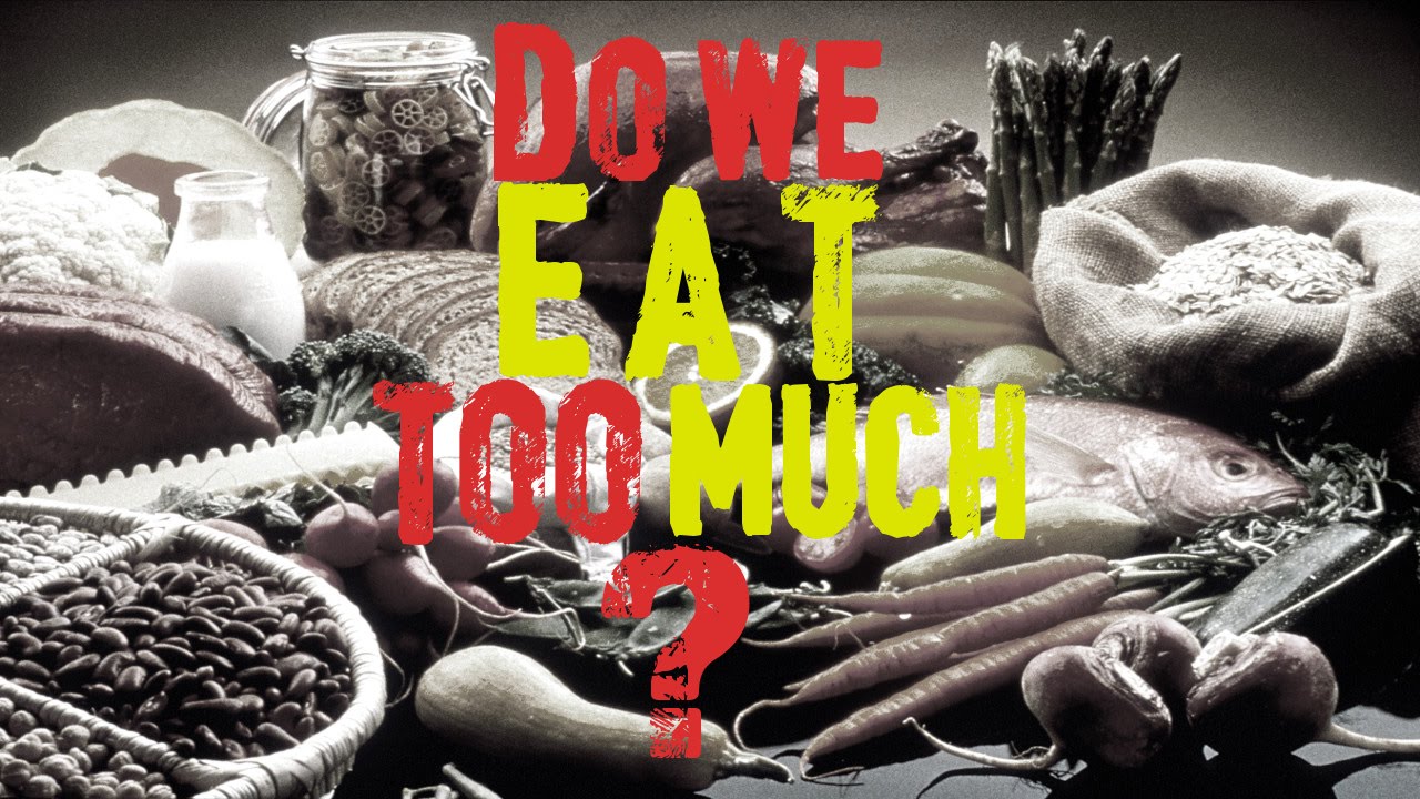 Do We Eat Too Much? | Hamza Yusuf