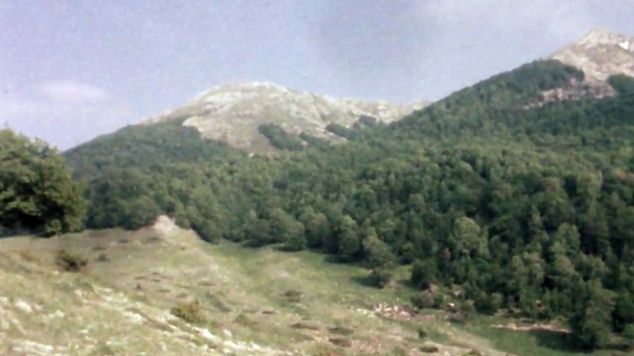 ФЛОРАТА НА ГАЛИЧИЦА (РТС, 1983)