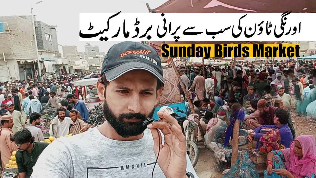 Sunday Birds Market Orangi Town | Lalukhet Birds Market | Jal Rate Latest Update 6-Aug-23 #birdswala